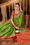 Bhumi Saroski Vol 1 By Saroj Chinon Silk Wholesale Saree Suppliers In Mumbai